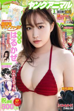 国际b站免费视频入口mba智库下载